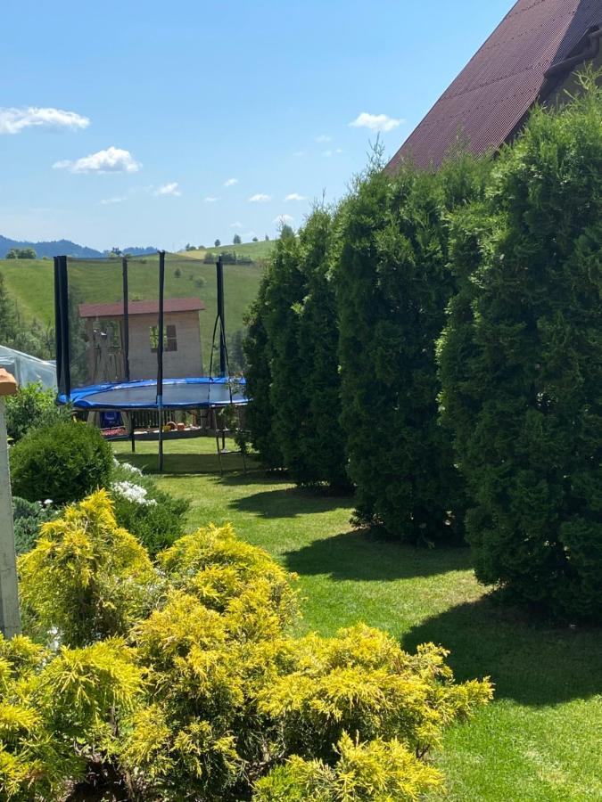 Agroturystyka U Ireny Mizerna Екстериор снимка